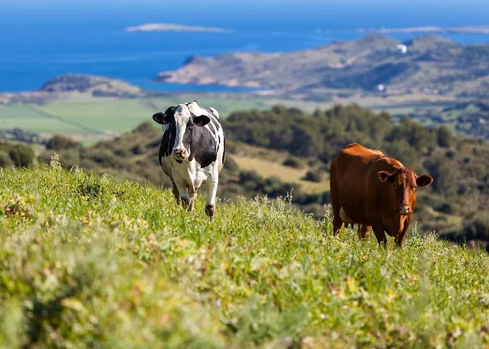 Cala Porter Brise Marine 公寓